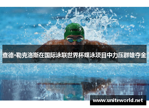 查德·勒克洛斯在国际泳联世界杯蝶泳项目中力压群雄夺金