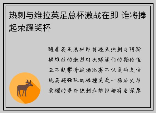 热刺与维拉英足总杯激战在即 谁将捧起荣耀奖杯